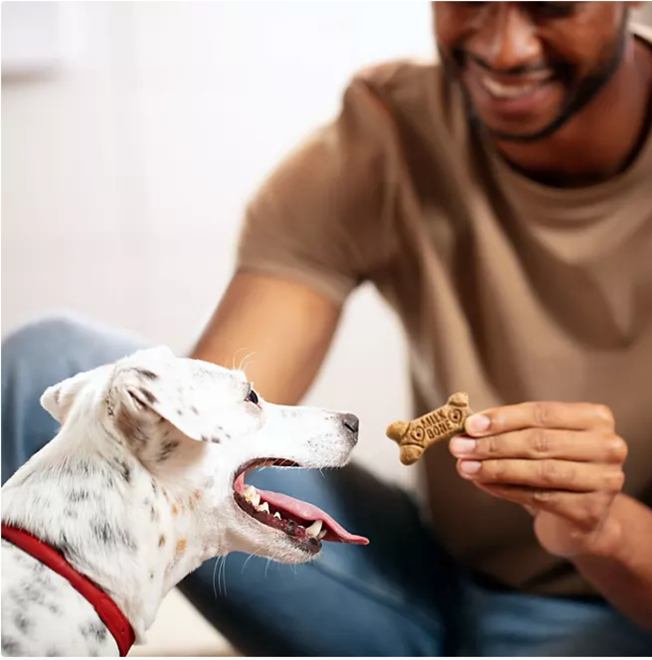 Milk-Bone Flavor Snacks Small Crunchy Dog Biscuits (128 oz.)