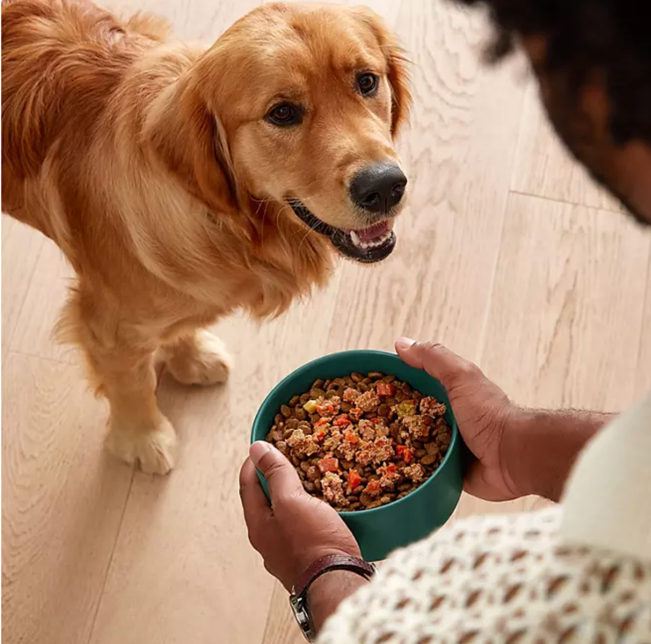 Jinx Homeamdes Variety Pack, Wet Dog Food Pack , 9oz , 12ct
