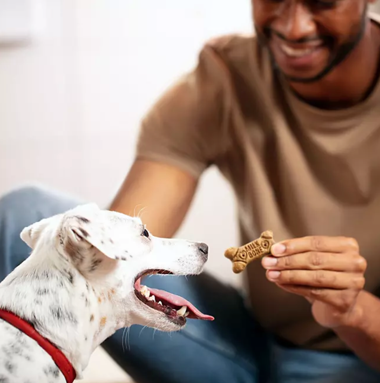 Milk-Bone Flavor Snacks Small Crunchy Dog Biscuits, 128 oz.