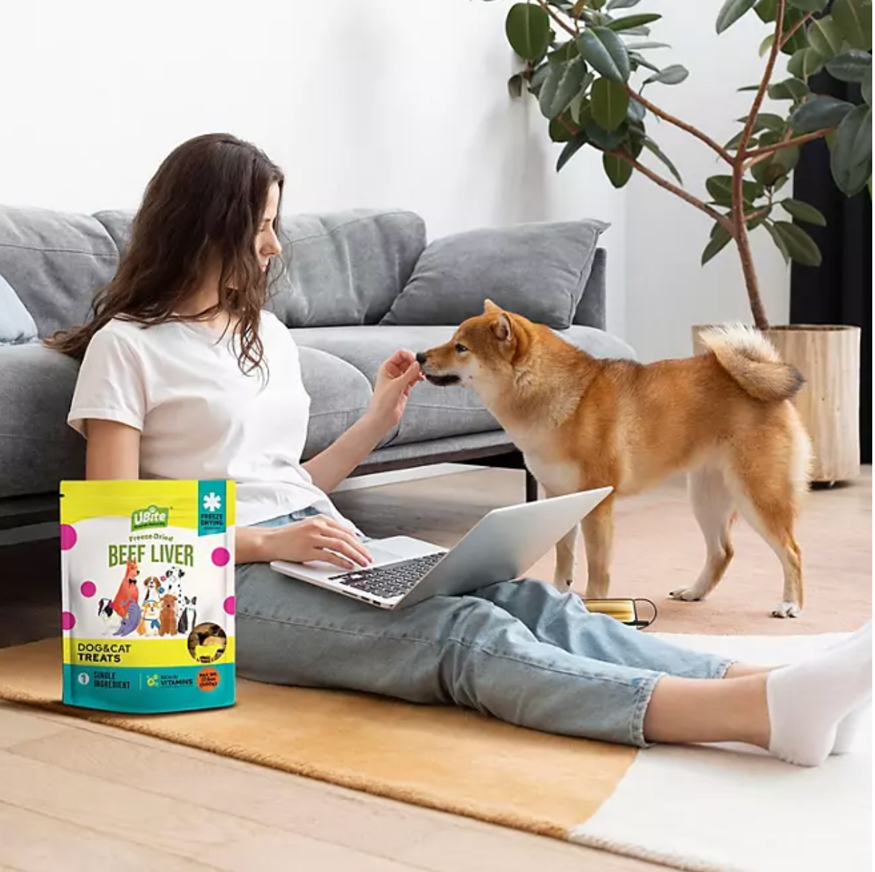 UBite Raw Bits Freeze-Dried Beef Liver Dog + Cat Treats, 17 oz.