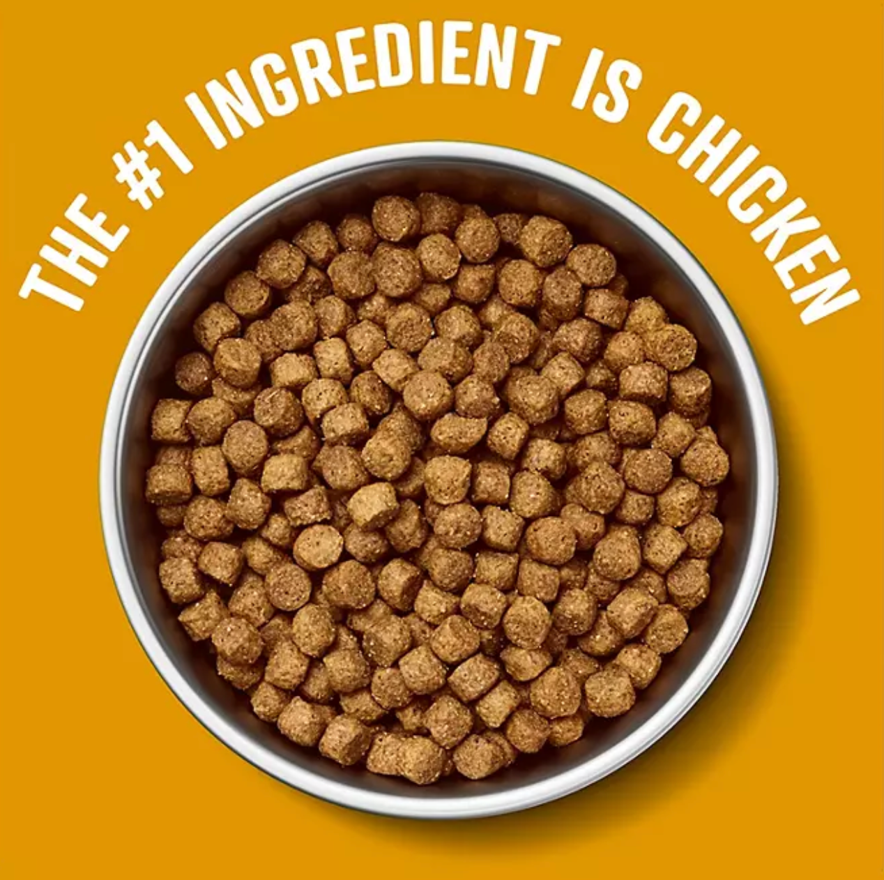 Chicken + Brown Rice Recipe Dry Dog Food, 35 lbs.